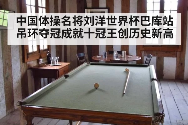 中国体操名将刘洋世界杯巴库站吊环夺冠成就十冠王创历史新高