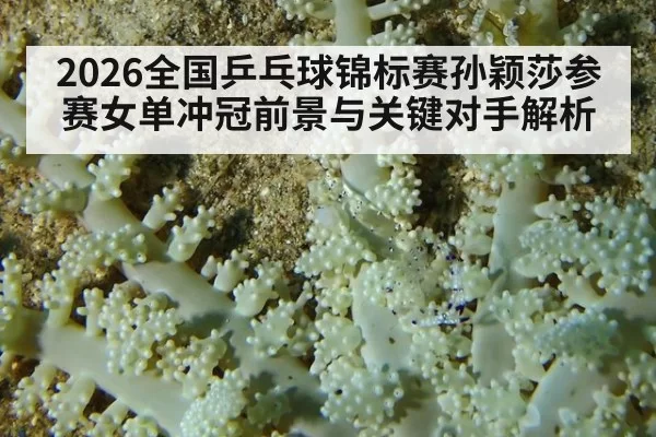 2026全国乒乓球锦标赛孙颖莎参赛女单冲冠前景与关键对手解析